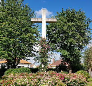 Le Sentier du Souvenir à Neuville-Saint-Vaast - Neuville-Saint-Vaast - 2