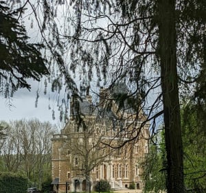 De la forêt de Meridon à la ferme de Coubertin - Saint-Rémy-lès-Chevreuse - 4