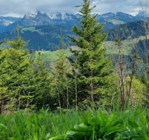 Col de Griou - Essert-Romand - 2