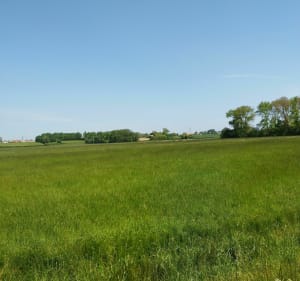 Hazebrouck et ses alentours - Hazebrouck - 2