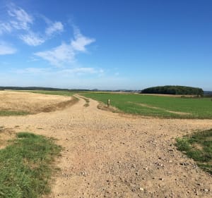 Balade à Magnicourt-en-Comté et alentours à VTT - Magnicourt-en-Comte - 2