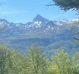 Crêtes d’Issarbe pour une superbe rando - Lanne-en-Barétous - 2