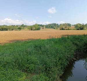 Rando à Castelnau Chalosse - alain - 5