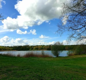 Parc des Bruyères à Fère-en-Tardenois - Fère-en-Tardenois - 2