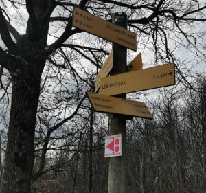 Balade dans les bois de Marcollin - Marcollin - 2