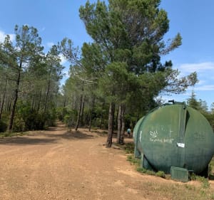 Balade tranquille dans la forêt d’eucalyptus à Cessenon-sur-Orb - Michel - 4
