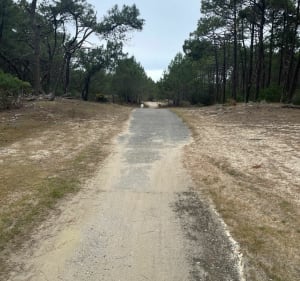 Balade entre forêt et océan au Petit Piquey - celien - 3