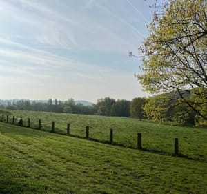 Belle balade dans le parc de Rouelles - Harfleur - 2