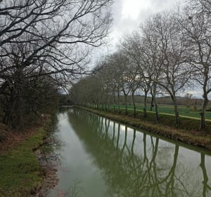 Campagne entre Vieillevigne et Montesquieu-Lauragais - Vieillevigne - 2