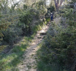 Sentier paysage de garrigue et pierres sèches à Aragon - Finnet et Naron - 3