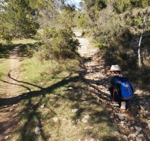 Sentier paysage de garrigue et pierres sèches à Aragon - Aragon - 2