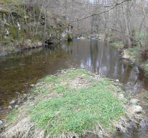 Les gorges de la Daronne depuis Deyras - Saint-Victor - 2
