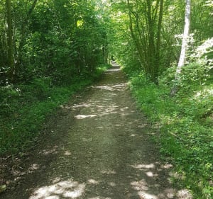 Balade à Saint-Aubin-sur-Gaillon par le Bois de Brillehaut à vélo - Cécilia - 2