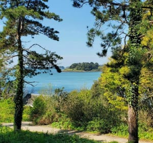 Ile aux moines - Pointe du Nioul - Île-aux-Moines - 2