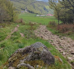 Autour des deux Lacs. Blanchemer & la Lande - La Bresse - 2