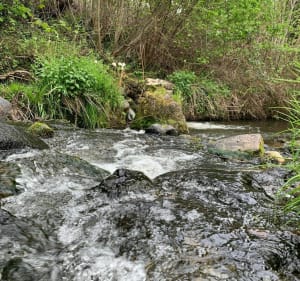 Saint Amant Tallende Gorges de la Monne - Saint-Amant-Tallende - 2