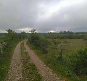 Circuit VTT au départ d'Onet-le-Château - Onet-le-Château - 2