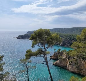 Loddewandeling naar de haven van Alon - Saint-Cyr-sur-Mer - 2