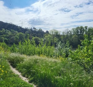 Berges de La Garonne près du Parc du Confluent - Portet-sur-Garonne - 4