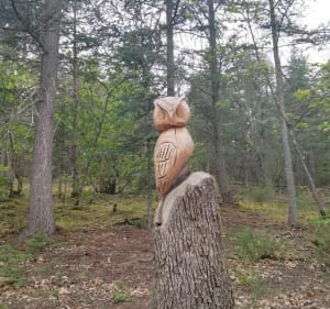 Balade nature par le chemin des Vachères et la Naute - Châtel-Guyon - 2