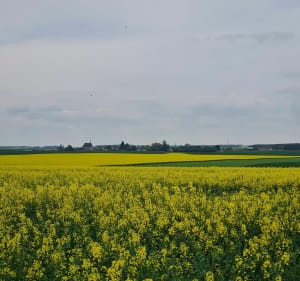 Balade sur les chemins de Tremblay-les-Villages - MAXIME - 4