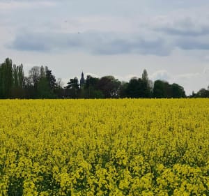 Balade sur les chemins de Tremblay-les-Villages - Tremblay-les-Villages - 2