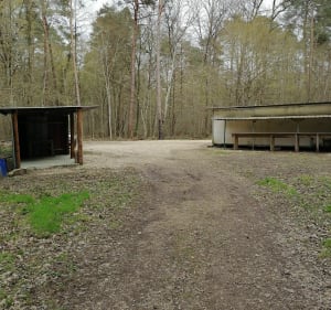 Autour de Vergigny par les Bruyères - Vergigny - 2