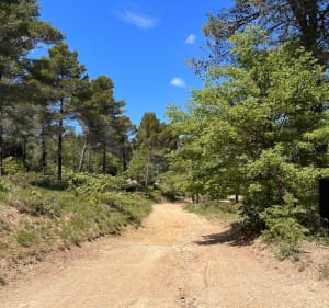 La chaîne des côtes au départ de l’Abbaye de Silvacane - La Roque-d'Anthéron - 5