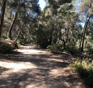 Boucle entre front de mer et campagne Pastré à VTc - Marseille - 4