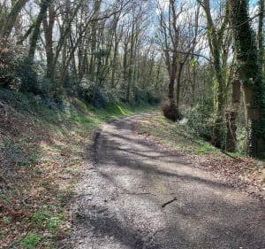 Boucle plateau Est et bords de Seine - Saint-Aubin-Celloville - 2