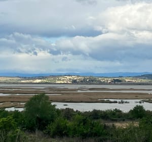 Entre mer et terre à Vendres - Vendres - 4