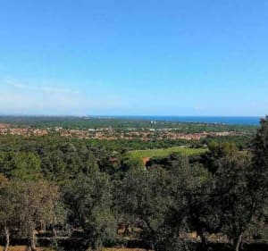 De toren van La Massane, van Argelès-sur-Mer. - Argelès-sur-Mer - 2