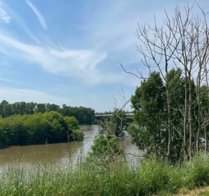 Balade à vélo  Bord de Loire La Chapelle Saint Mesmin / Orléans - Patricia - 2