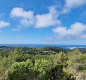 Randonnée La roche Curadeau, Gros Cerveau - Sanary-sur-Mer - 2