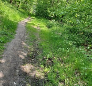 Sortie VTT en forêt de Madrillet - Laurent - 2