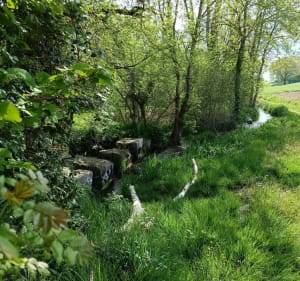 La chignole - Champniers - 3