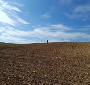 La chignole - Champniers - 4