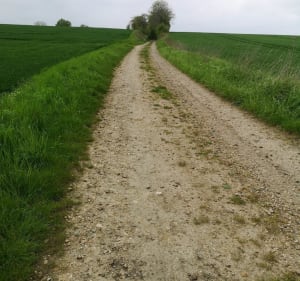 Petit tour de Cauvigny - Cauvigny - 2