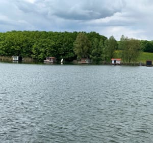 Étang du Welschhof à Puttelange-aux-Lacs - Puttelange-aux-Lacs - 5