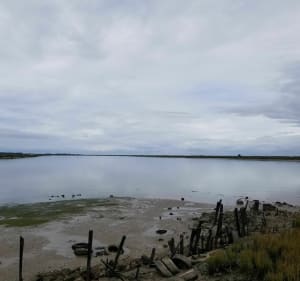 Balade le long de la Seudre de Saujon à l'Eguille - Saujon - 2