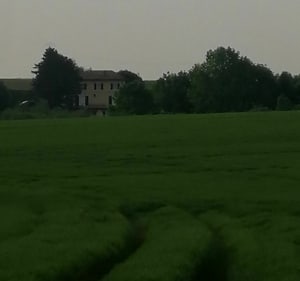 Balade à travers la campagne Conflanaise par les Fonds des Biens - Conflans-en-Jarnisy - 2