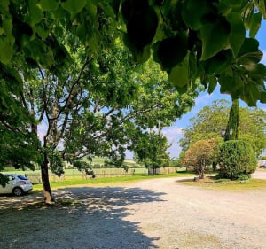 Balade sur les Coteaux de la terre Patrie d'Alfred de Vigny - Champagne-Vigny - 2