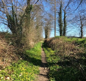 Sentier de Gripail - Vignoc - 2