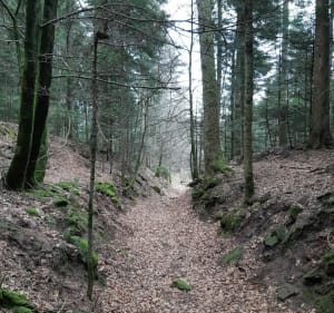 Le Circuit Roche des Hauts Champs - Alain - 5