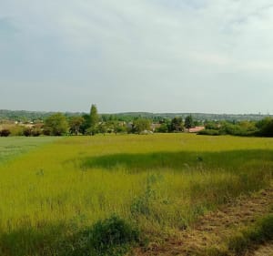 Vendôme - Naveil le château, les coteaux et les bords du Loir - Vendôme - 2