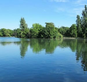 Combiné : tour du bois de Boulogne et du parc de Saint Cloud - Alain - 5