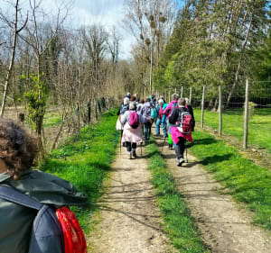 Balade sur les hauteurs de la vallée d'Orly-sur-Morin - VIRGINIE - 4