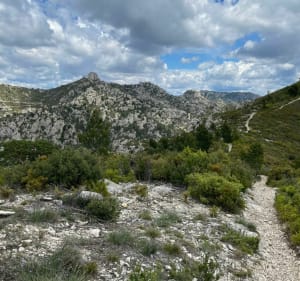 De septèmes les vallons au Pilon du Roy - Septèmes-les-Vallons - 3