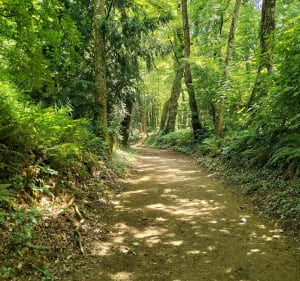 Un tour à Grand Fougerais - Grand-Fougeray - 2