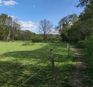 Circuit "Les Bauches" au Bignon - Le Bignon - 2